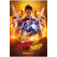 Load image into Gallery viewer, Marvel Poster
