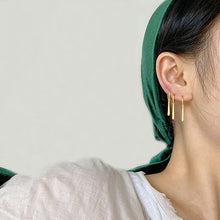 Load image into Gallery viewer, Roronoa Zoro Sliver Earrings
